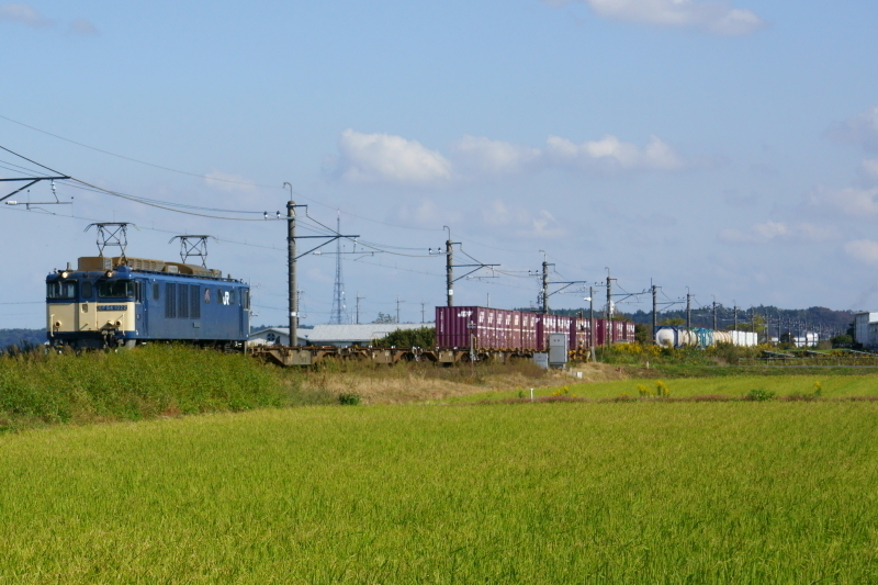 a0331055_15305443.jpg