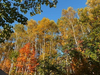 e0004756_21015958.jpg