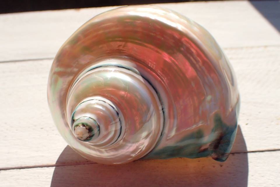 b0160957_16375730.jpg