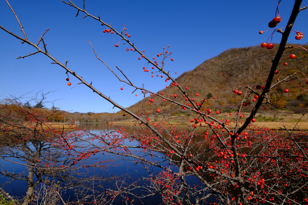 c0084666_13011645.jpg