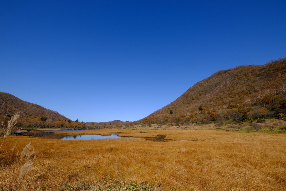 c0084666_13011736.jpg