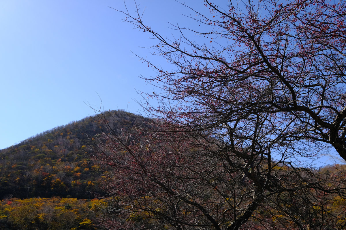 c0084666_13011887.jpg