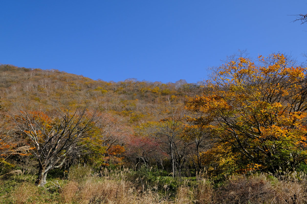 c0084666_13020369.jpg