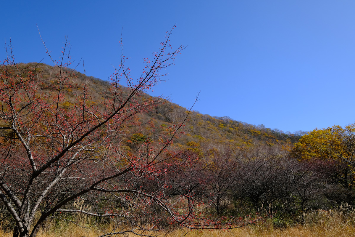 c0084666_13553148.jpg