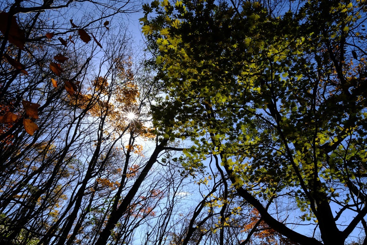 c0084666_13553201.jpg