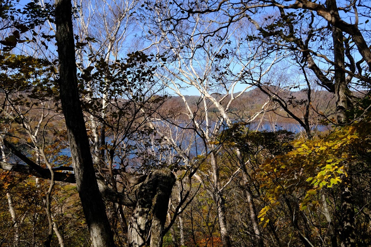 c0084666_13553203.jpg