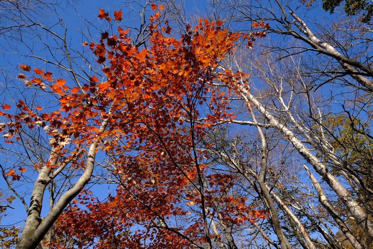 c0084666_13553222.jpg