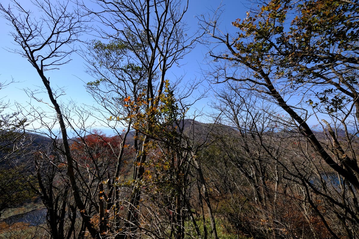 c0084666_14155762.jpg