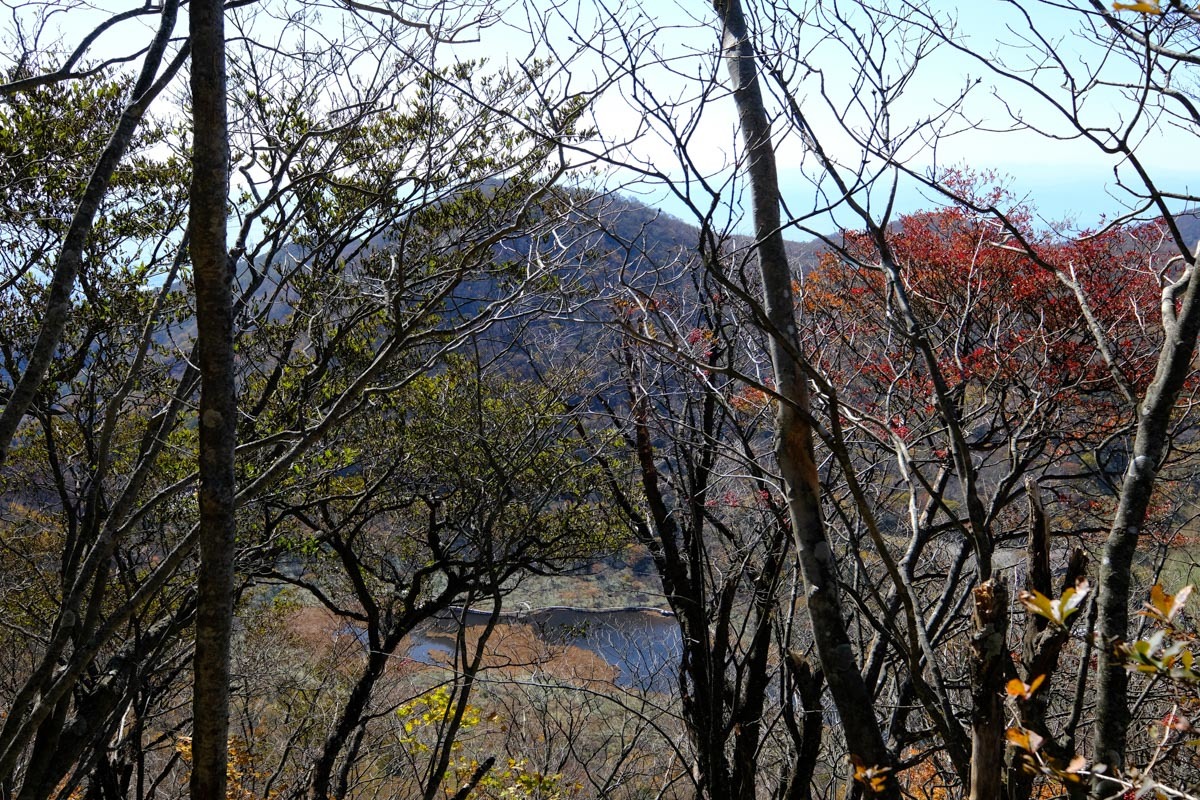 c0084666_14155782.jpg