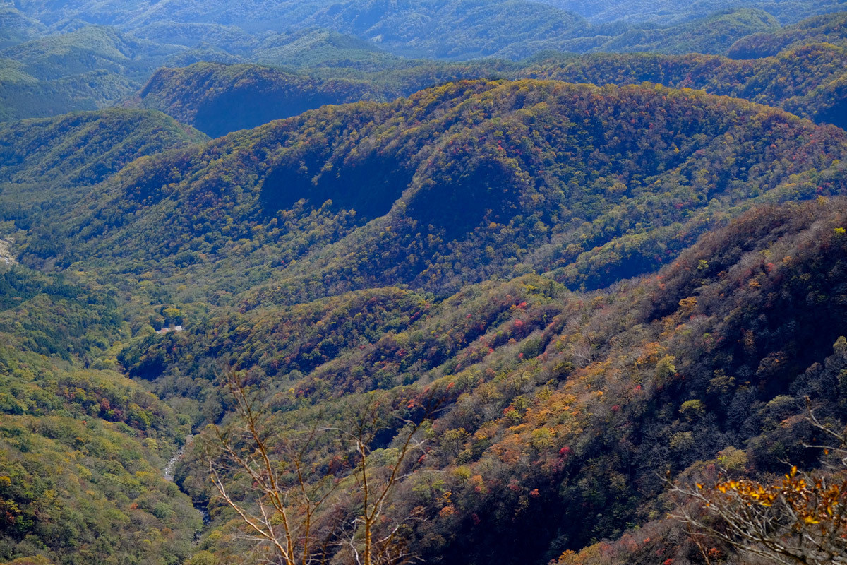 c0084666_14155879.jpg