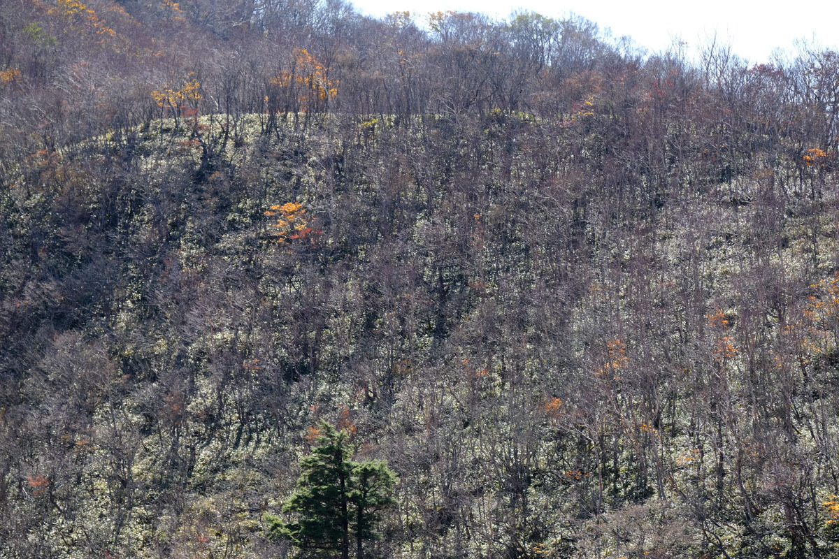 c0084666_14590168.jpg