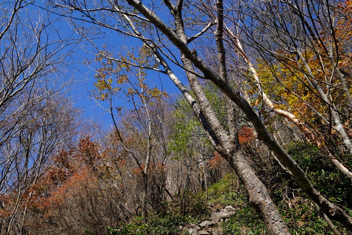 c0084666_14590280.jpg