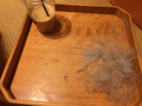犬の散歩_c0195272_14094570.jpeg