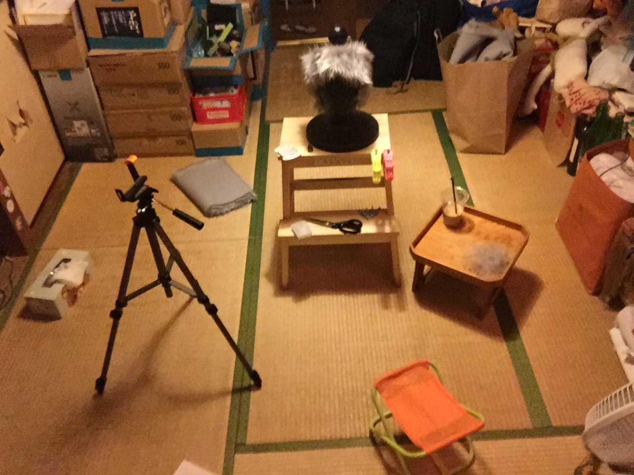 犬の散歩_c0195272_14100227.jpeg