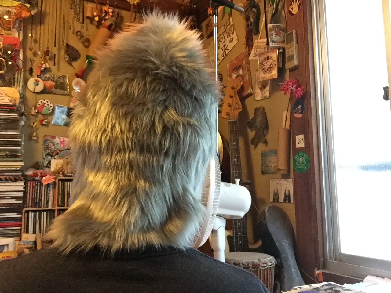 犬の散歩_c0195272_14145808.jpeg