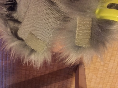 犬の散歩_c0195272_14154275.jpeg
