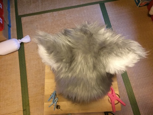犬の散歩_c0195272_14201466.jpeg