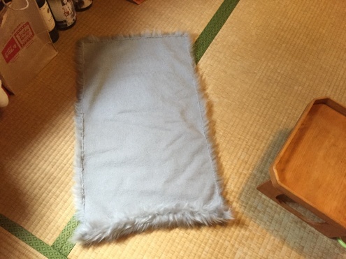 犬の散歩_c0195272_14202930.jpeg