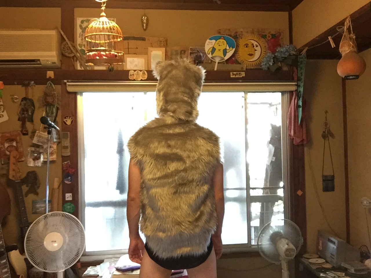 犬の散歩_c0195272_14240141.jpeg