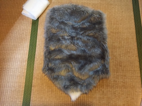 犬の散歩_c0195272_14310037.jpeg