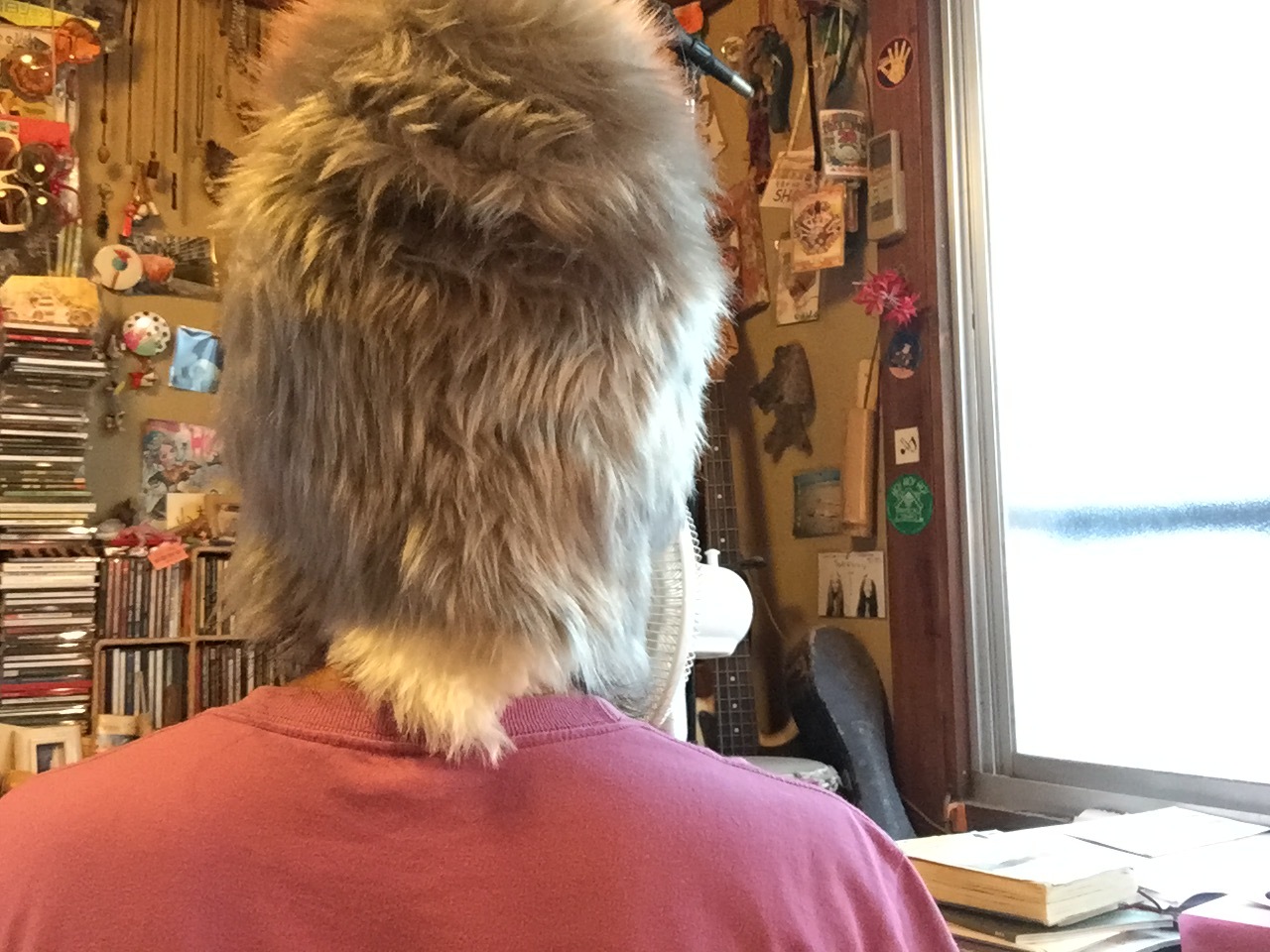 犬の散歩_c0195272_14361971.jpeg