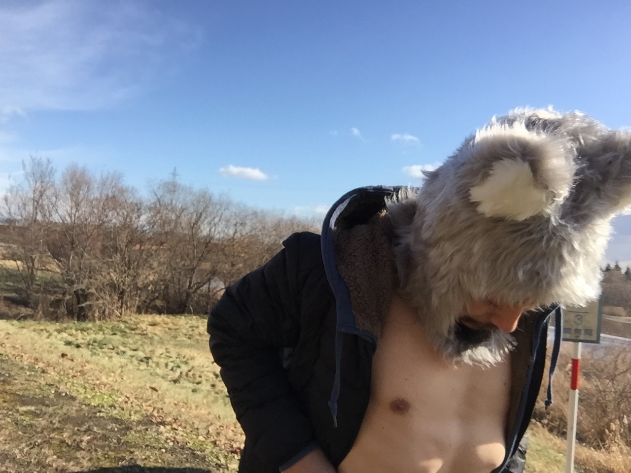 犬の散歩_c0195272_14562514.jpeg