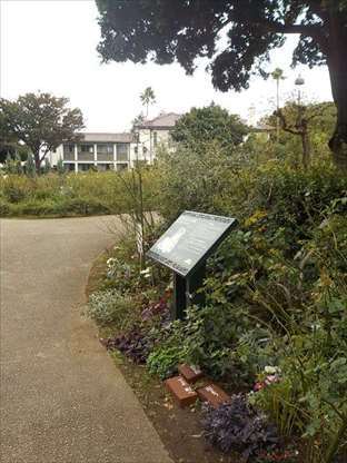 e0126875_22101060.jpg