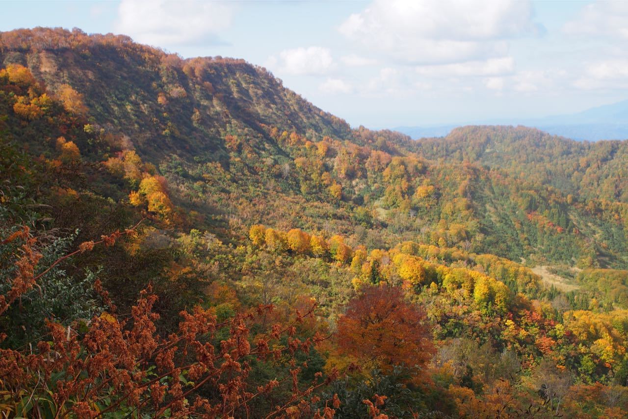 天水山の紅葉_a0025576_21330079.jpg