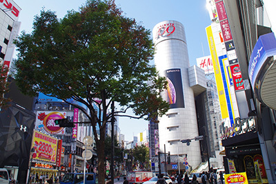 b0056983_16290802.jpg