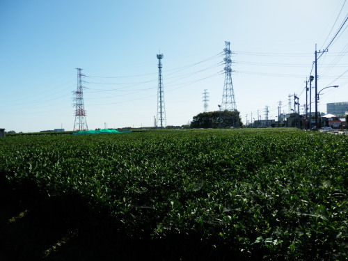 b0334084_21233808.jpg