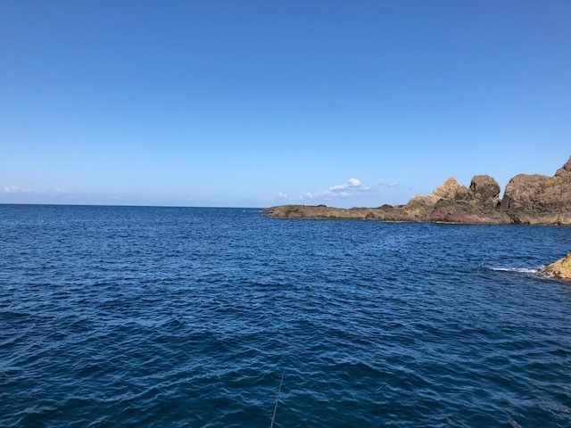 e0192884_17321158.jpg