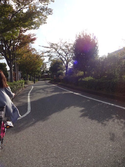 千葉のアンデルセン公園へ!_b0210688_20294145.jpg