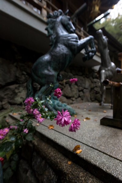 貴船神社_e0051888_03012570.jpg