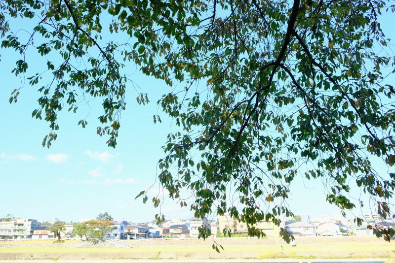 e0362689_20280037.jpg