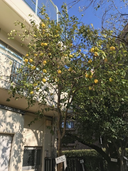 e0397389_09300373.jpg