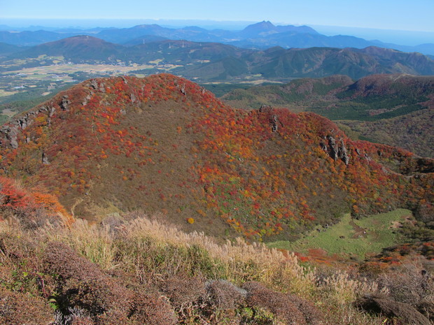 a0166196_16561657.jpg