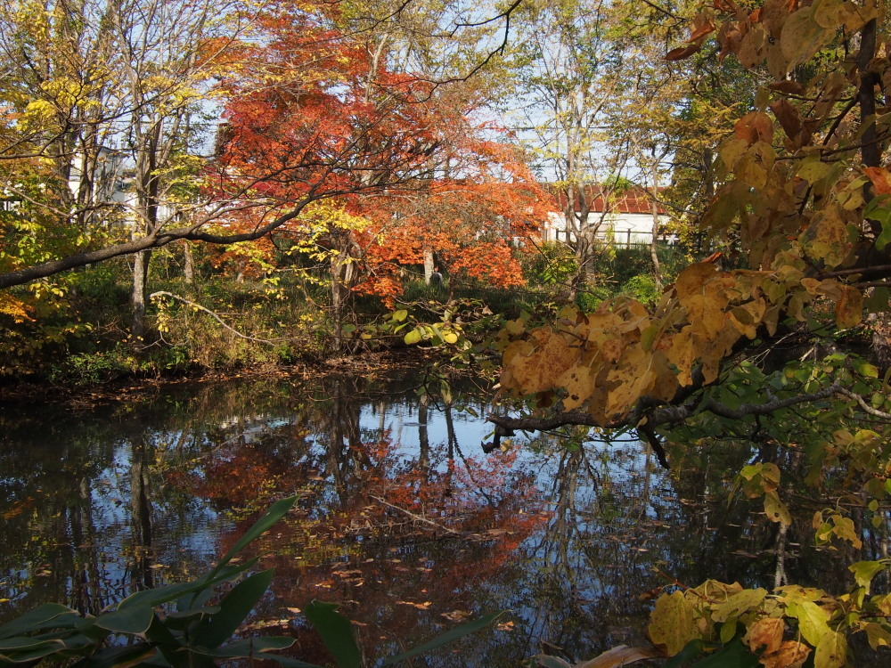c0360399_22251808.jpg