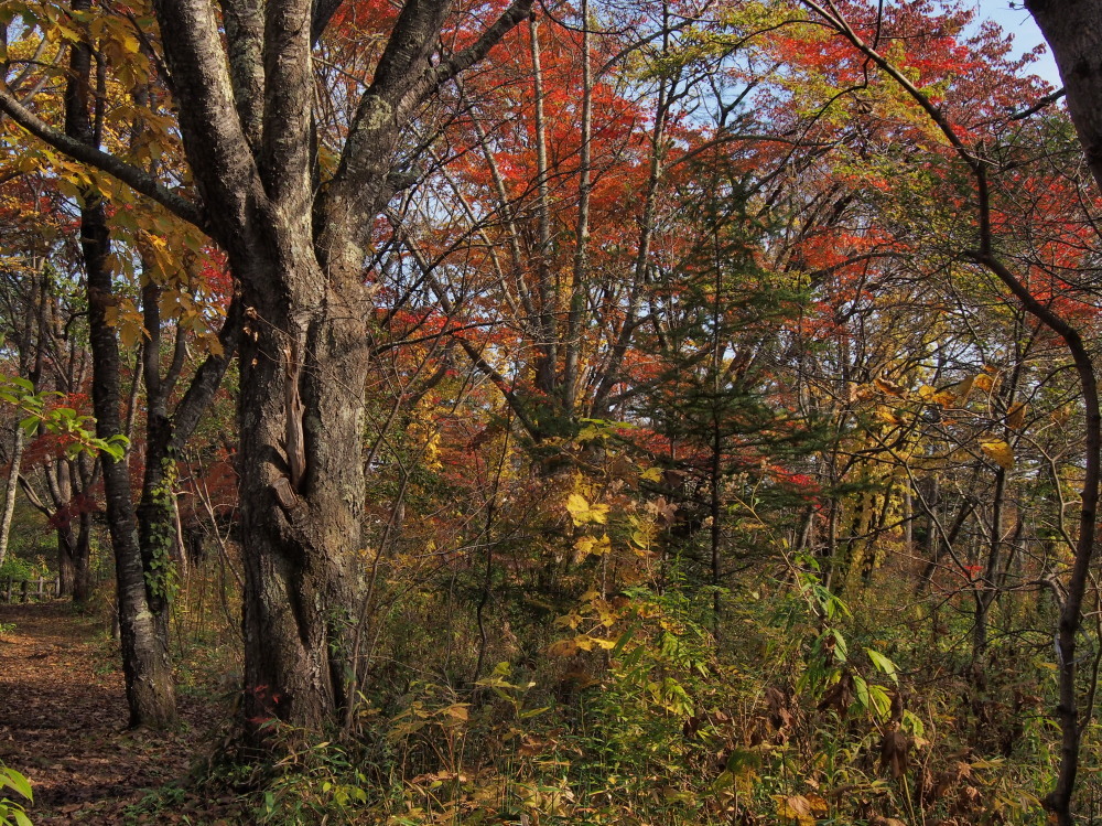 c0360399_22273703.jpg