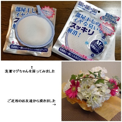 日々の事 畑・衣替え_c0051105_17045927.jpg