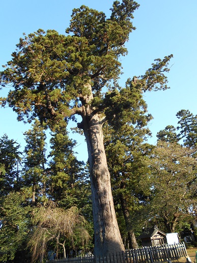 d0009105_2262410.jpg