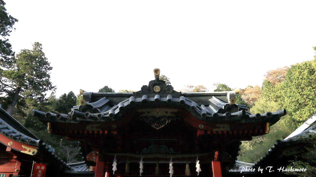 d0334006_23533330.jpg