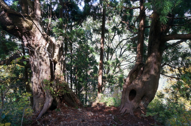 d0359010_15394219.jpg