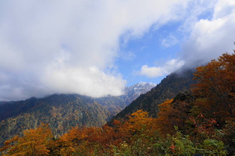 d0359010_15435065.jpg