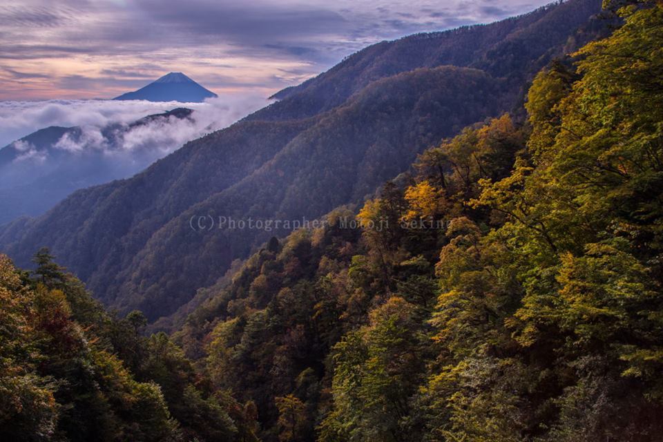 秋カラーと富士山_d0160611_14463072.jpg