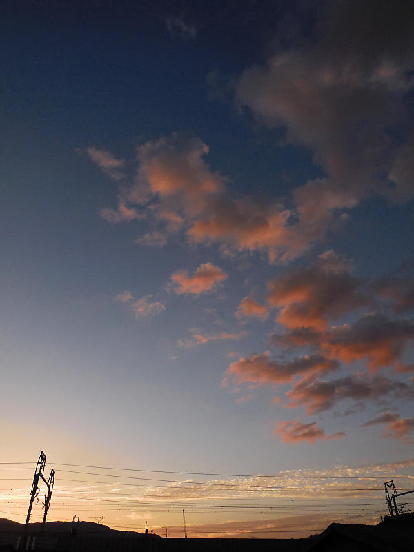 f0032011_20044501.jpg