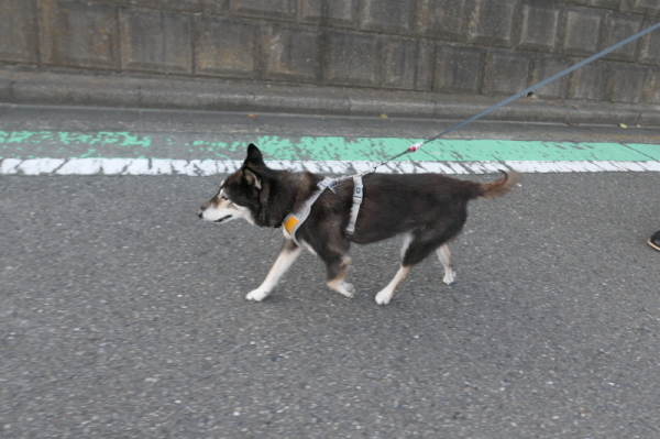 f0369014_21305758.jpg