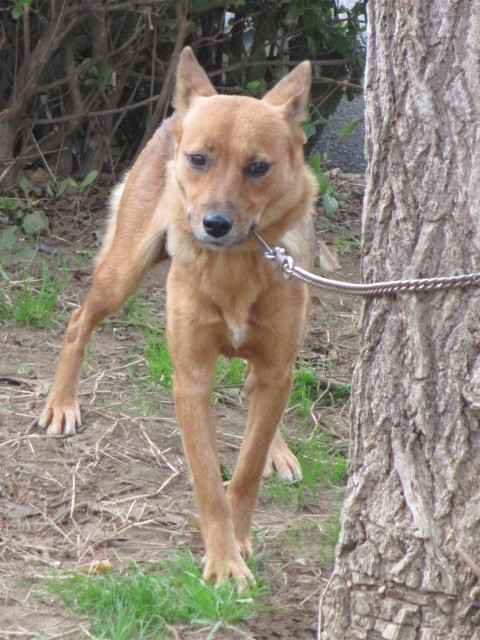 f0078320_23204812.jpg