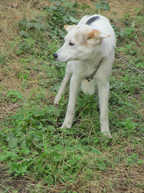 f0078320_23215878.jpg