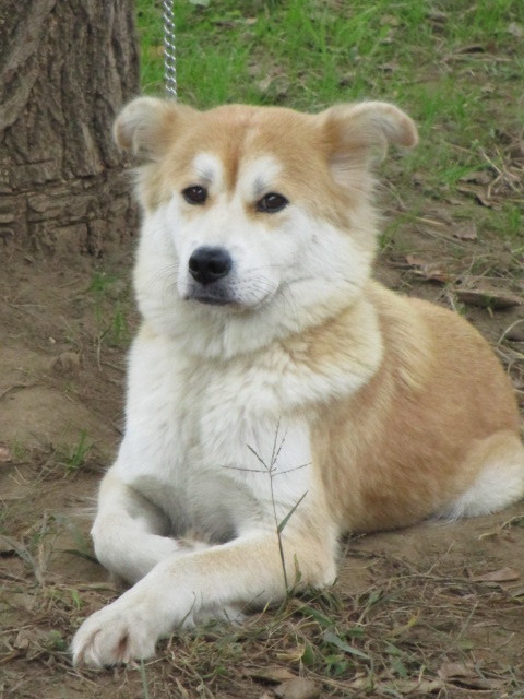 f0078320_23255156.jpg