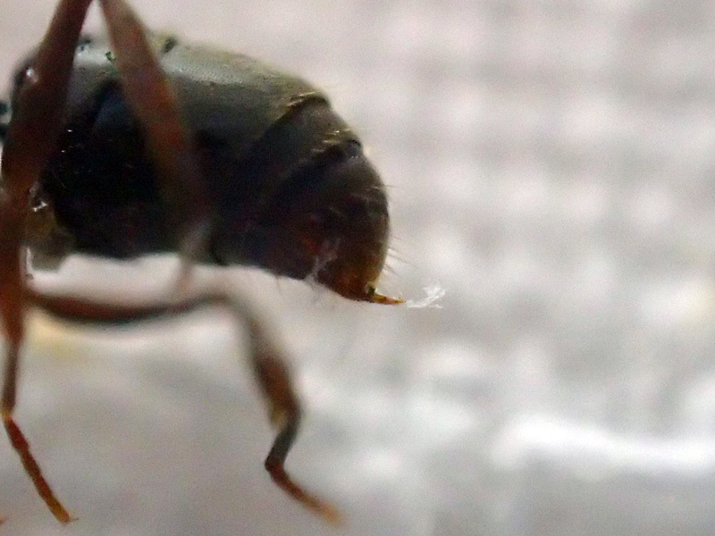 e0189021_21415512.jpg